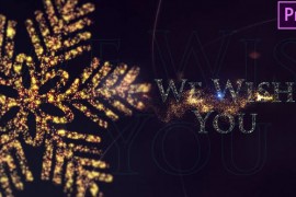 Christmas Wishes 29516198