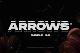 Arrows 44180380