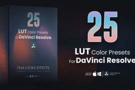 25 LUTs pack for DaVinci Resolve 42052504