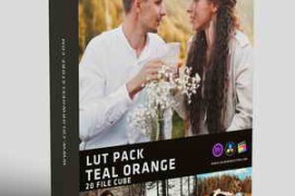 Colorwheelstore – Lut Teal Orange Style