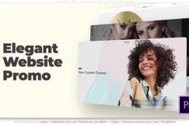 Elegant Website Promotion 43794521