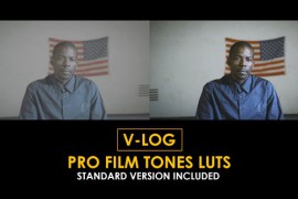 V-Log Pro Film Tones and Standard Color LUTs 51378630