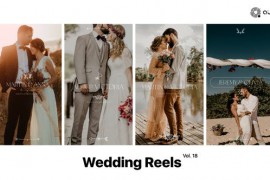 Wedding Reels Vol. 18 49308242