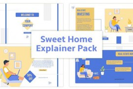 Real Estate Agency Explainer Animation Scene 45647827