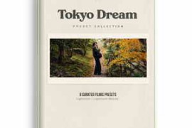 VG Studios Tokyo Dream Preset Pack (Lightroom)