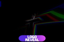 Logo Reveal 49485294
