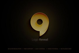 Logo Reveal 45856406