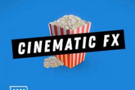 W. A. Production What About Cinematic FX WAV-FANTASTiC
