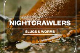 Blastwave FX Nightcrawlers: Slugs and Worms WAV-FANTASTiC