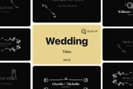Wedding Titles for Premiere Pro Vol. 13 49053472