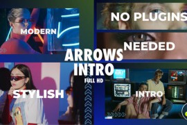 Arrows Intro 46003663