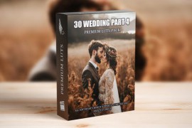 Exclusive 2023 Wedding Video LUTs: Top 30 Cinematic Presets for Videography Experts 50042172