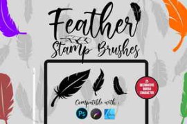 Feather | Stamp Brush