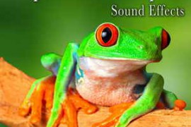The Hollywood Edge Sound Effects Library - Amphibian & Reptile Sound Effects WAV