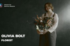 Lower Thirds | DaVinci Resolve 47134503