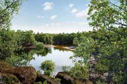 Globe Plants – Bundle 50 – Mangrove Plants