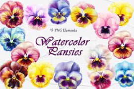 Pansy Flowers Watercolor Clipart
