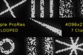 Lights Flash 4K - 7 Pack 24243363