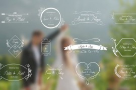 12 Wedding titles 47554058