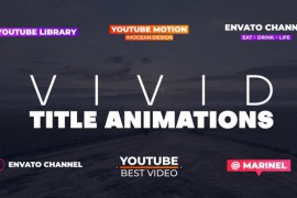 Vivid Title Animations 45860773