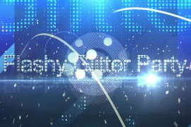 Flashy Glitter Party 4445118