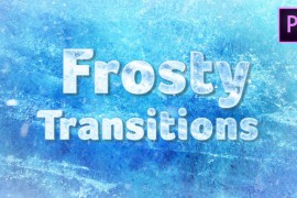 Winter/Frost Transitions 22999461