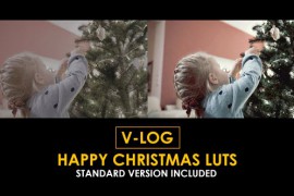 V-Log Happy Christmas and Standard Color LUTs 51303333