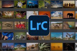 Udemy – Adobe Lightroom CC : The Complete Training Guide