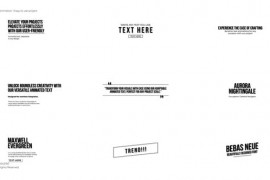 Animation Text 4.0 | FCPX 51840635