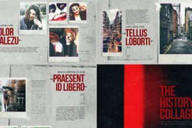 The History Collage 30259707