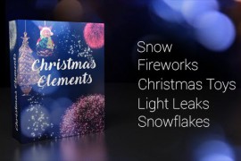 Christmas Elements 19016786