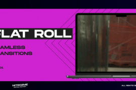 Flat Roll Transitions Vol. 01 47616858