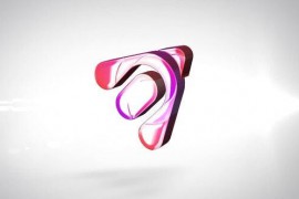 Corporation Logo 48756076