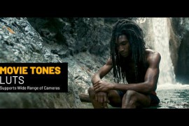 Movie Tones Color LUTs 48624874