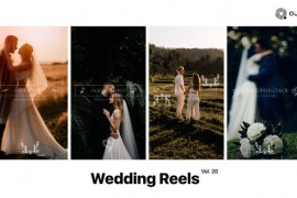 Wedding Reels Vol. 20 49308294