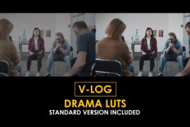 V-Log Drama and Standard Color LUTs 51378259