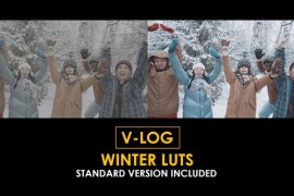 V-Log Winter and Standard Color LUTs 51379335