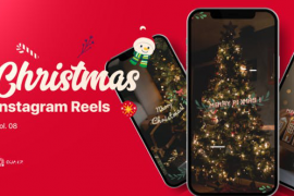 Christmas Reels Vol. 08 49686682