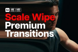 Premium Transitions Scale Wipe 49795220