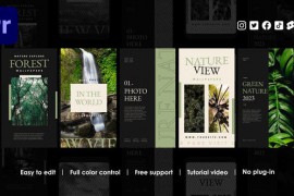 Album Instagram Reels 48461450