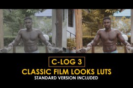 C-Log3 Classic Film Looks and Standard Color LUTs 51169455