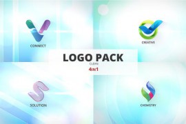 Logo Reveal 51372755