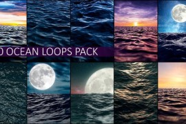 OCEAN PACK 46106294