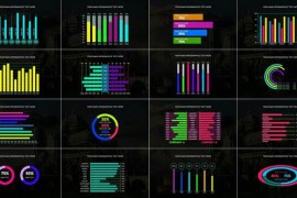 Flat Infographics V2 37108784