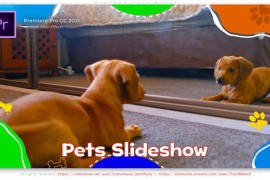 Welcome Pets World 46427916
