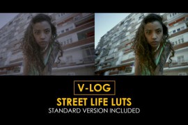 V-Log Street Life and Standard Color LUTs 51443765