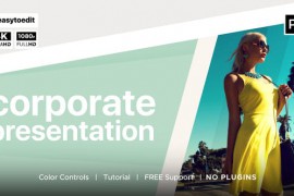 Corporate Introduce 49235490