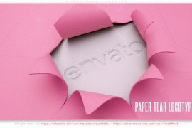 Paper Tear Logotype 52802990