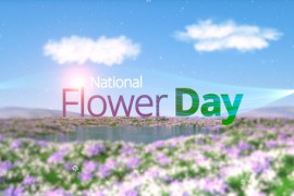 Flower Day Opener 50212648