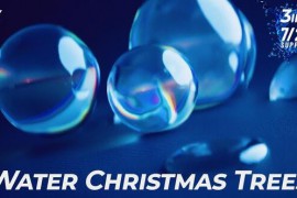 Water Christmas Trees 42143354